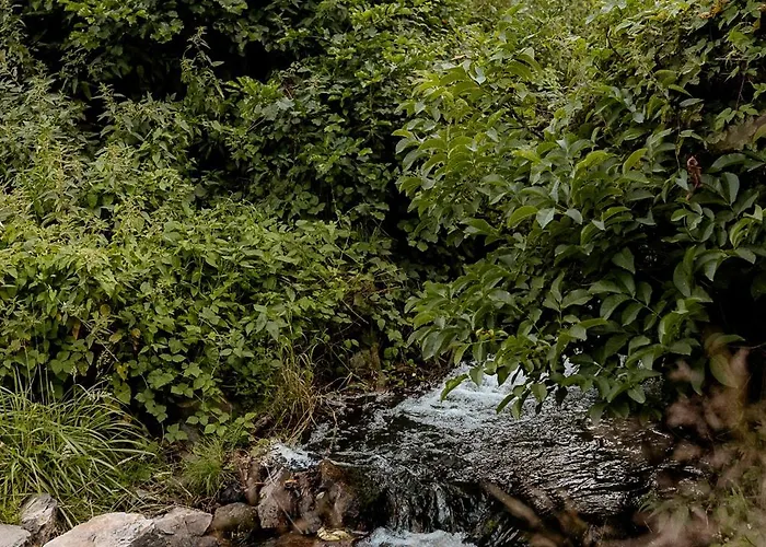 Voodoo Glamping Campo de lujo